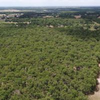 10 Acres in Milam County images 4