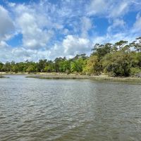 Sheffield Island on Sadlers Creek Bluff images 3
