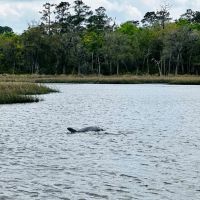 Sheffield Island on Sadlers Creek Bluff images 4