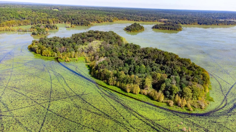 18 ac Duck Hunting Island Paradise featured image