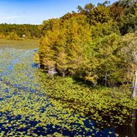 18 ac Duck Hunting Island Paradise images 2