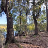 18 ac Duck Hunting Island Paradise images 5