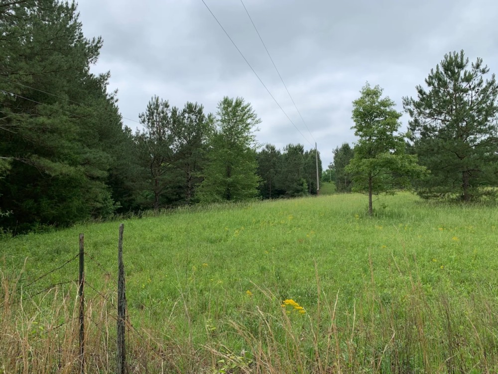 195 Acres of Peaceful Privacy featured image