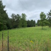 195 Acres of Peaceful Privacy