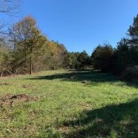 195 Acres of Peaceful Privacy images 3