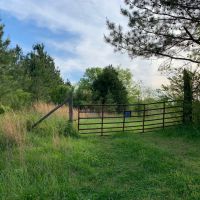 195 Acres of Peaceful Privacy images 4