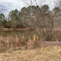 195 Acres of Peaceful Privacy images 5