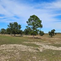 Glen Saint Mary Rd Lot 7 images 2