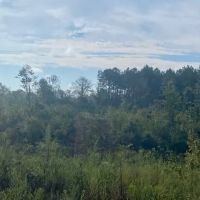 107 acres Fred Bacot Road images 2