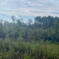 107 acres Fred Bacot Road images 3