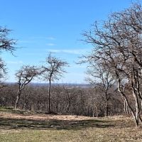 32 - Acres with 4 2 Home Views Tank Oaks images 5