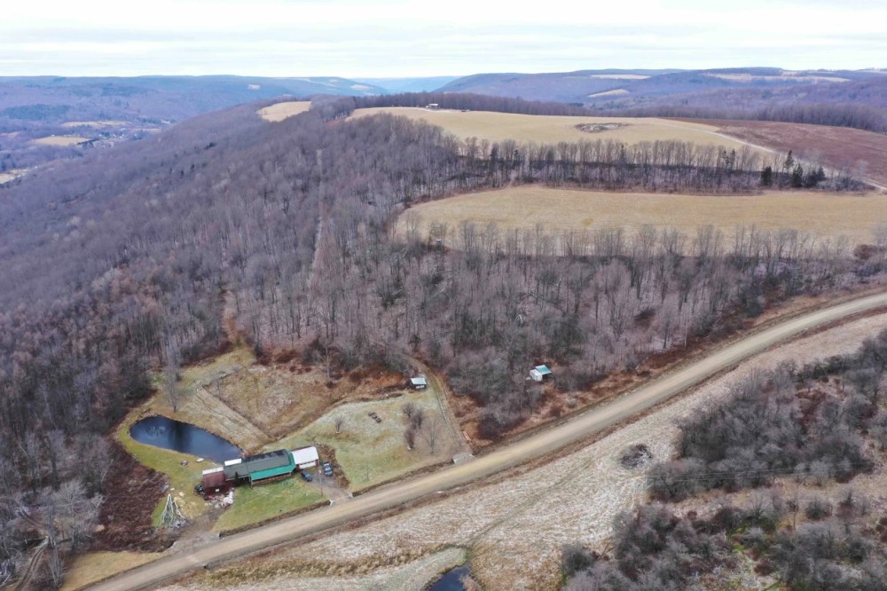 105 acres Country Home with Pond in Greenwood NY 2346 Wheeler Hill Road featured image