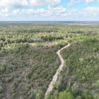 728 Acres Off Garcia Road images 2