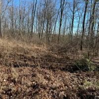 7275 Wolf Branch images 5