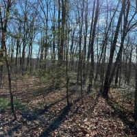 7275 Wolf Branch images 4