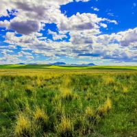 Little Muddy Creek Ranches images 4