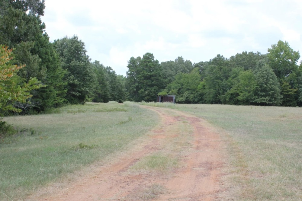 425 ACRES RUSK COUNTY TEXAS featured image
