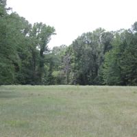 425 ACRES RUSK COUNTY TEXAS images 3