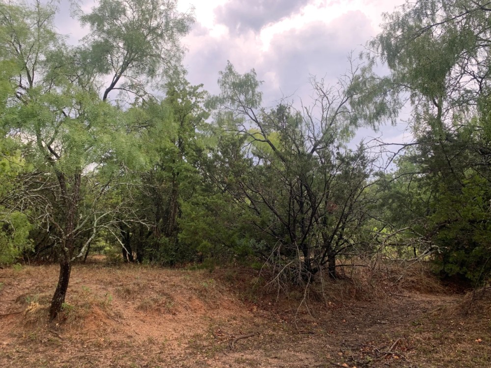 New Listing 8.5 - Acres Eastland County East featured image
