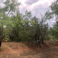 New Listing 8.5 - Acres Eastland County East