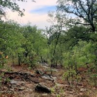 New Listing 8.5 - Acres Eastland County East images 3