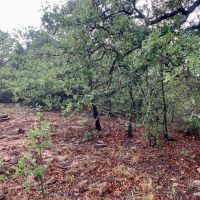 New Listing 8.5 - Acres Eastland County East images 4