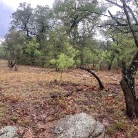 New Listing 8.5 - Acres Eastland County East images 5