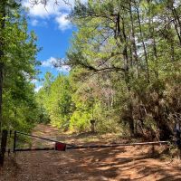 78 Acres T-5 CR 364 images 2