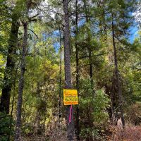 78 Acres T-5 CR 364 images 4