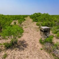 338 - ACRES Uvalde TX El Rialito Creek Ranch images 2
