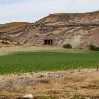 Owyhee River Hunting Ranch images 4