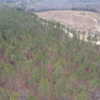 Buck Creek images 4