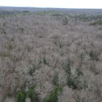 Buck Creek images 3