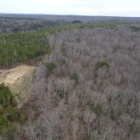 Buck Creek images 2