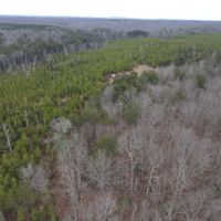 Buck Creek