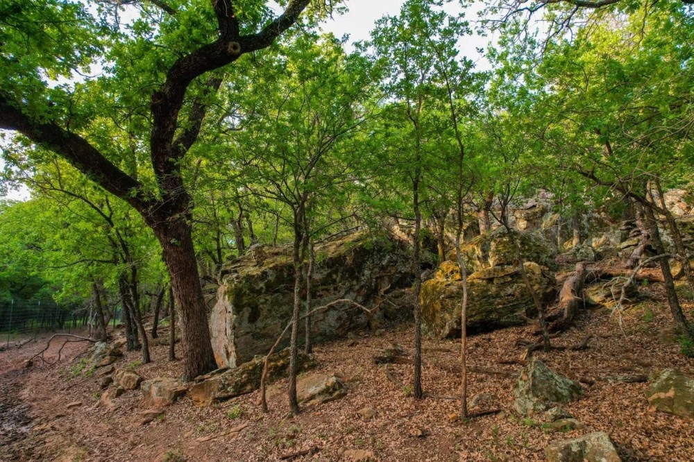 Boulder T Ranch featured image