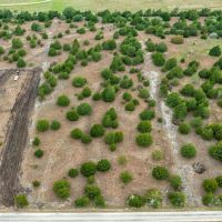 TBD CR 226 Tract 3 in Schulenburg images 2