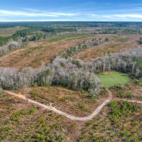 Wilderness Retreat Prime Timberland and Hunting Oasis images 3