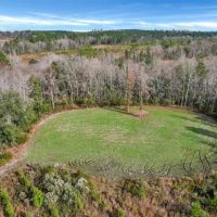 Wilderness Retreat Prime Timberland and Hunting Oasis images 4