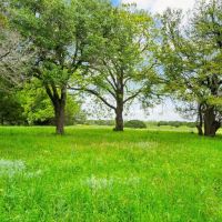 TBD State Highway 220 Unit 270 Hico Texas 76457 images 3