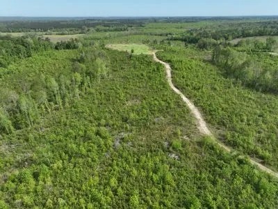 Marengo 173 acres - Hunting - Demopolis area featured image