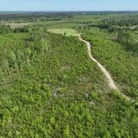 Marengo 173 acres - Hunting - Demopolis area