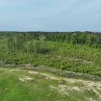 Marengo 173 acres - Hunting - Demopolis area images 2