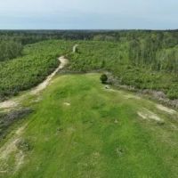 Marengo 173 acres - Hunting - Demopolis area images 3