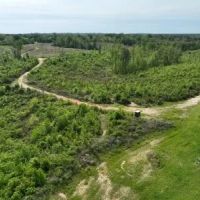 Marengo 173 acres - Hunting - Demopolis area images 4