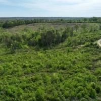 Marengo 173 acres - Hunting - Demopolis area images 5
