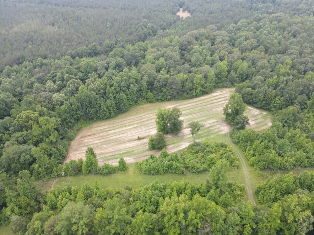 550.8 Acres in Yalobusha County MS featured image