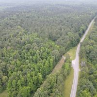 550.8 Acres in Yalobusha County MS images 2