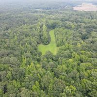 550.8 Acres in Yalobusha County MS images 4
