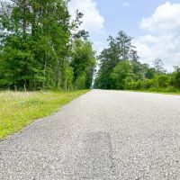 47 Acres Cravens Camp Rd. D-2 Silsbee Stake images 4